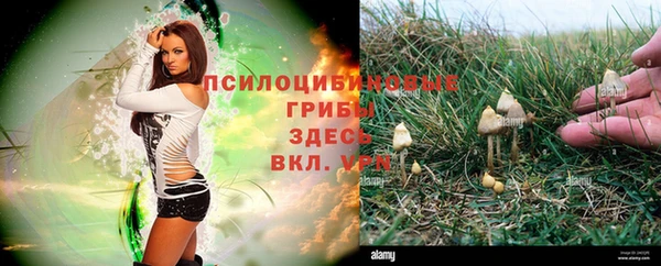 мяу мяу кристалл Белокуриха